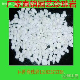 珍珠巖在園藝與育苗中的應用 專業基質與細胞培養的優選