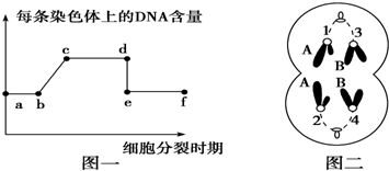 耐熱細菌蛋白酶的生物特性及其與胃蛋白酶和唾液淀粉酶的比較研究